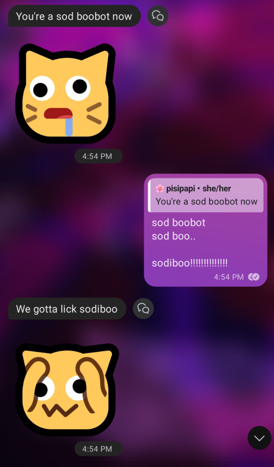 signal conversation (with pisipapi):

"You're a sob boobot now"
":neocat_googly_drool:"
"sod boobot
sod boo......
sodiboo!!!!!!!!!!!!!"
"We gotta lick sodiboo"
":neocat_googly_shocked:"