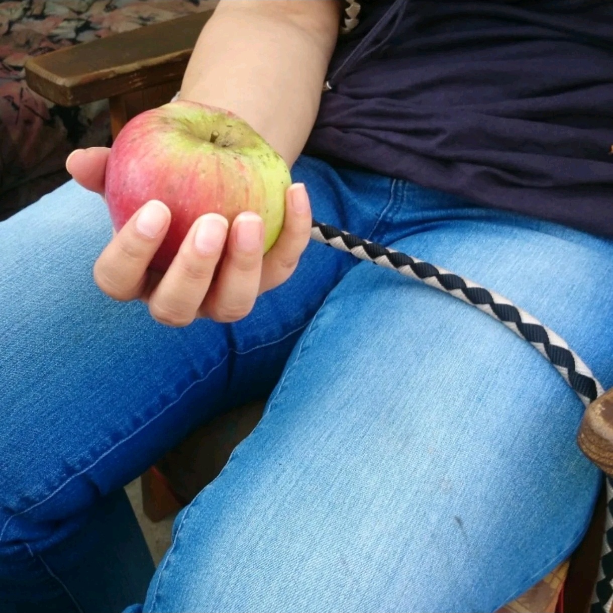 loopy@plasmatrap.com