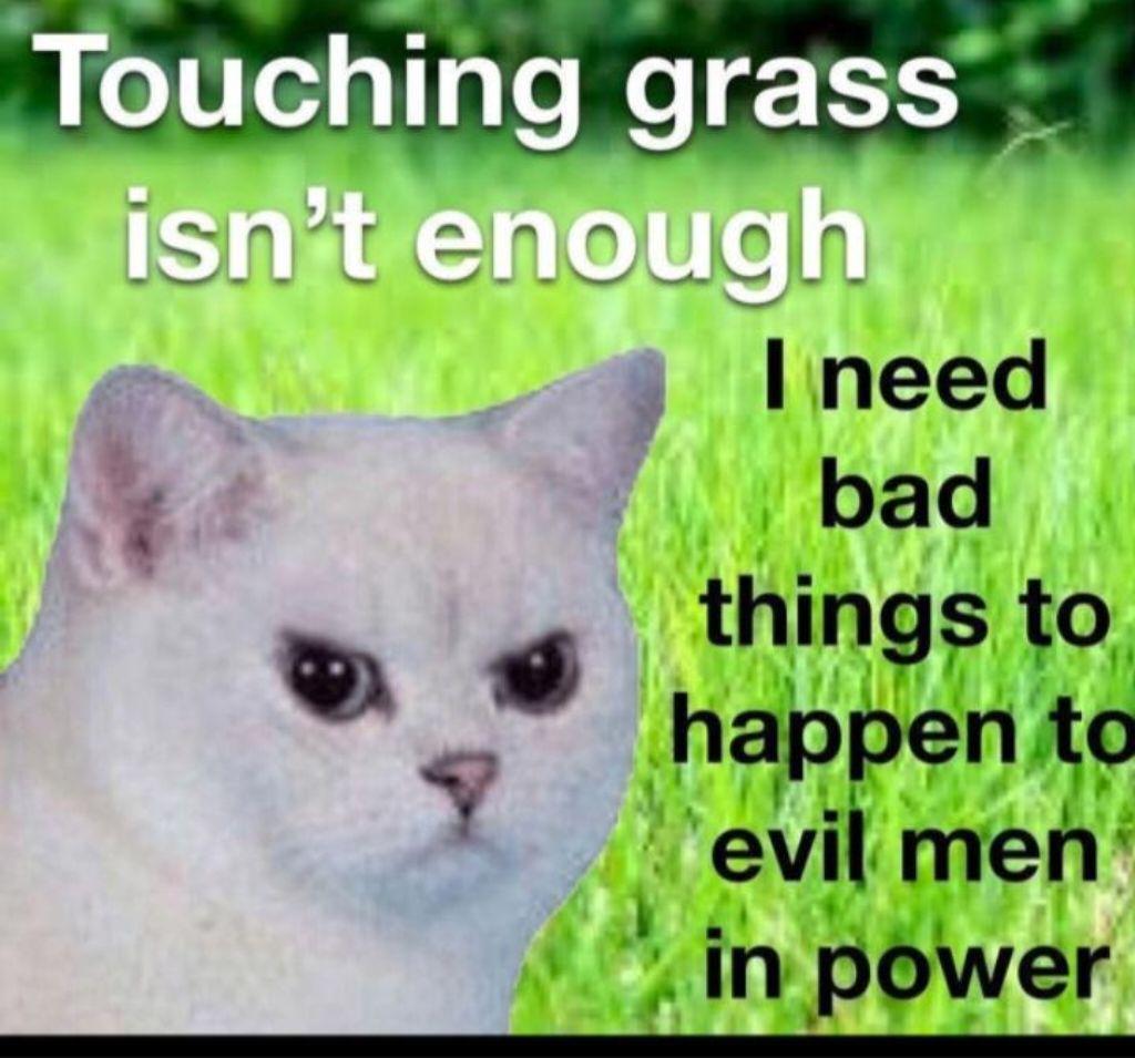 Angry white cat with text: Touching grass isn't enough. I need bad things to happen to evil men in power.