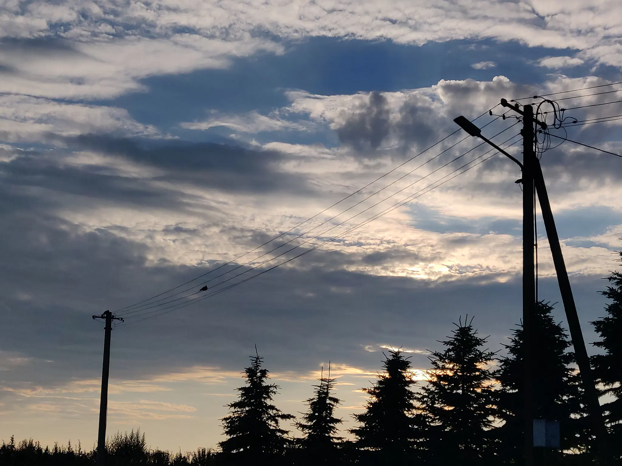 A picture of a clouded sunset with the sky being blue/gray-ish. In the front there are some trees and a power line going that are really dark due to lack of lighting.
